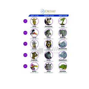 GOMAS INTRAORALES <br/> PARA ORTODONCIA